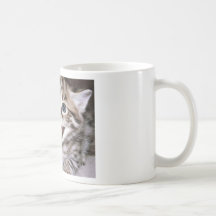 Cute Kitten Mugs