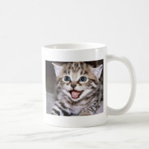 Cute Kitten Mugs