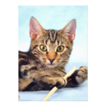 Cute kitten playing invitations