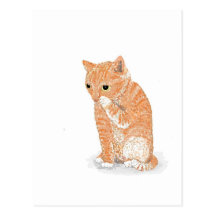 Cute Kitten  Products Post Cards