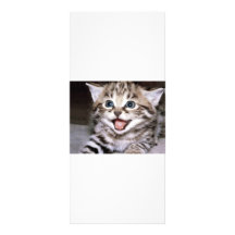 Cute Kitten Rack Card