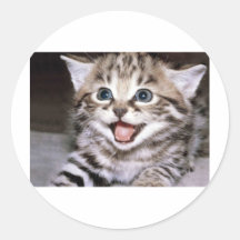 Cute Kitten Round Stickers