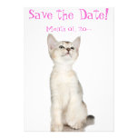 Cute Kitten Save the Date Announcements