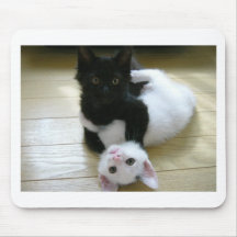 Cute Kittens Mouse Mats