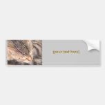 Cute Kitty Bumper Sticker