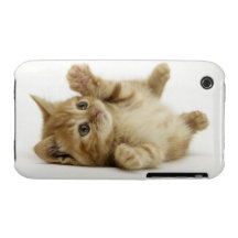 Cute Kitty Case-Mate iPhone 3 Case