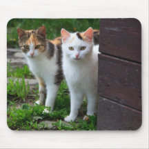 Cute Kitty Cat Couple Mouse Pads