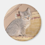 Cute Kitty Fridge Magnets