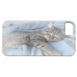 Cute Kitty iPhone 5 case