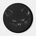 Cute Kitty Magnet