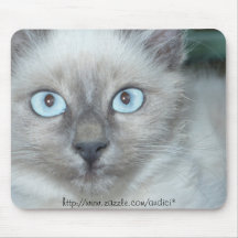 Cute kitty mouse mats
