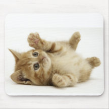 cute kitty mouse pads