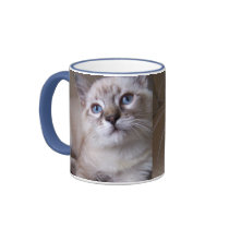 cute kitty mug
