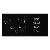 Cute Kitty Photo Card