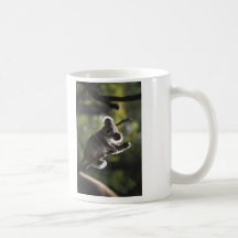 Cute Koala Climbing Mug
