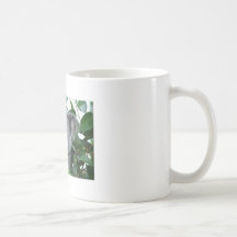 Cute Koala Coffee Mugs