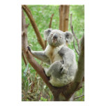 Cute Koala Customized Stationery