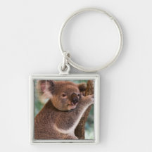 Cute Koala Keychain