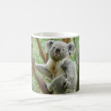 Cute Koala Mug