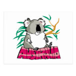 Cute Koala Post Card