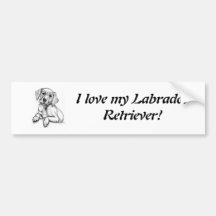 Cute Labrador Puppy Bumper Stickers