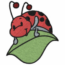 Cute Ladybug on Leaf