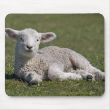 Cute Lamb Mousemat Mouse Pad
