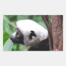 Cute Lemur Sticker