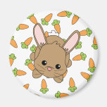 Cute Lil' Bunny Magnets