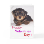 cute lil puppy, Valentines, Day, Happy, !, ! cards