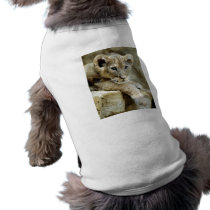 Cute Lion Cub Pet T Shirt
