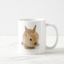 cute_little_babies_9 BABY BUNNY RABBIT CUTE FURRY Coffee Mugs