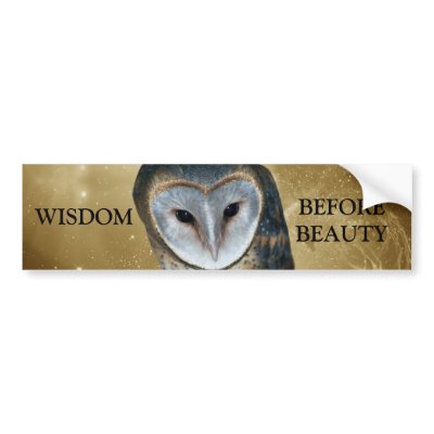 Cute little Barn Owl Bumper Stickers by laureenr