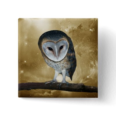 Cute little Barn Owl Button by laureenr