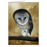 Cute little Barn Owl Cards