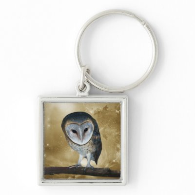 Cute little Barn Owl Keychains by laureenr