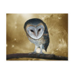 Cute little Barn Owl postcards