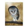 Cute little Barn Owl Postcard
