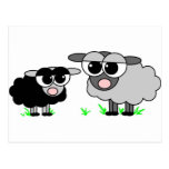 Cute Little Black Sheep and BigGray Sheep Post Card
