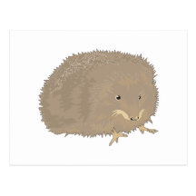 cute little brown hedgehog postcard