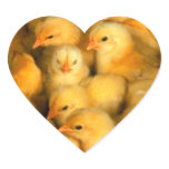 Cute Little Chicks Heart Sticker
