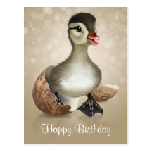 Cute Little Duck Postcard