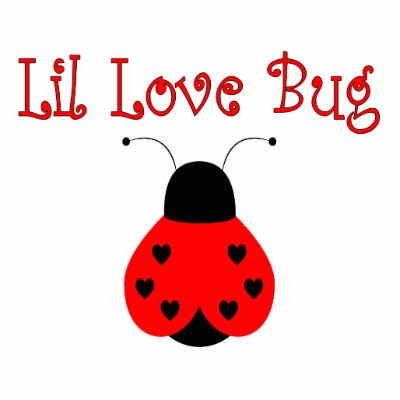 Cute Little Love Bug Heart Ladybug Ornament by bugspot