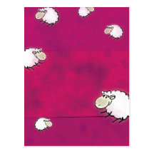 cute little sheep post card
