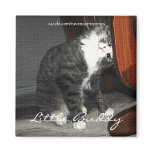 Cute Little Tabby Kitten Art Magnet