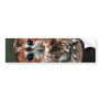 Cute Little Wild Owl Bumper Sticker