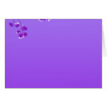 Cute love birds and violet floral gift cards