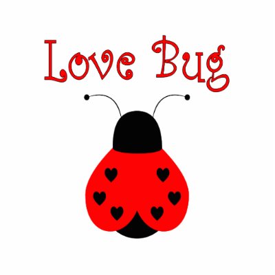 Love Ladybug