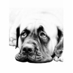 Cute Mastiff dog Cut Outs