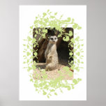 Cute Meerkat Poster